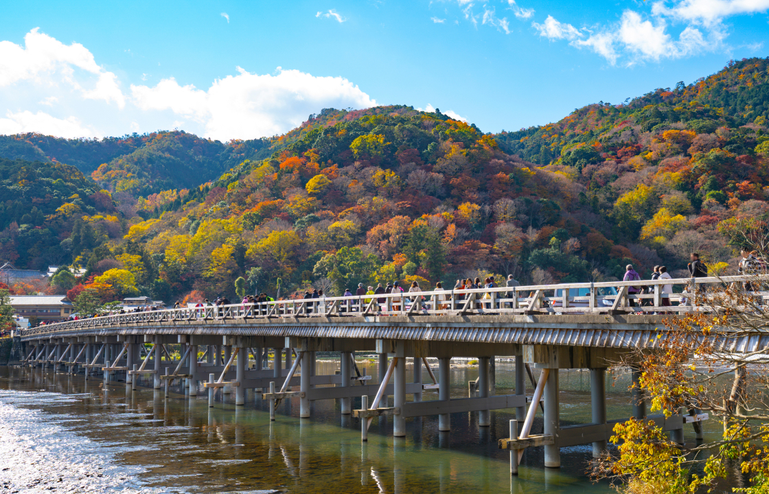 京都観光撮影プラン